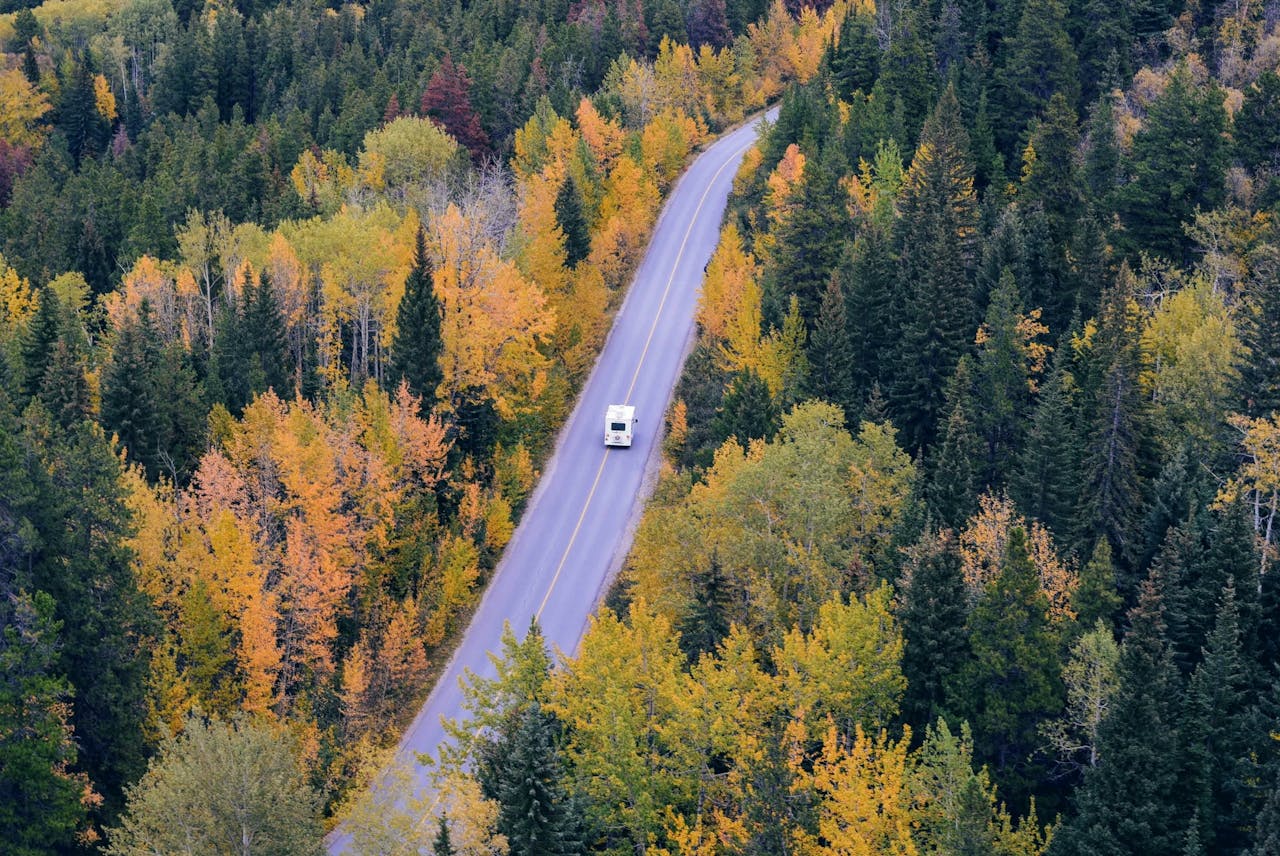 services-04 A campervan travels on a winding road through vibrant autumn forest scenery.